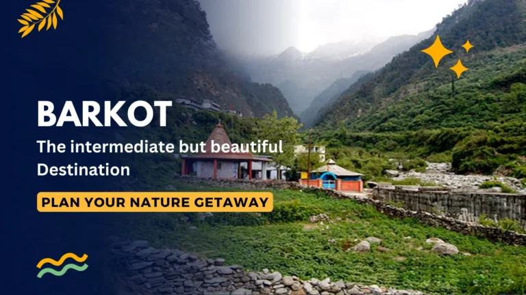 Barkot: The intermediate but beautiful Destination 