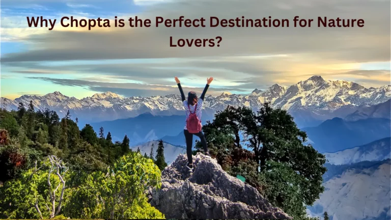 Why Chopta is the Perfect Destination for Nature Lovers?