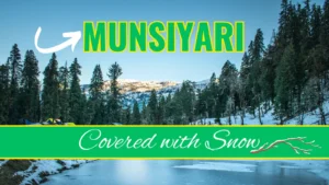 Munsiyari Hill Station Full details
