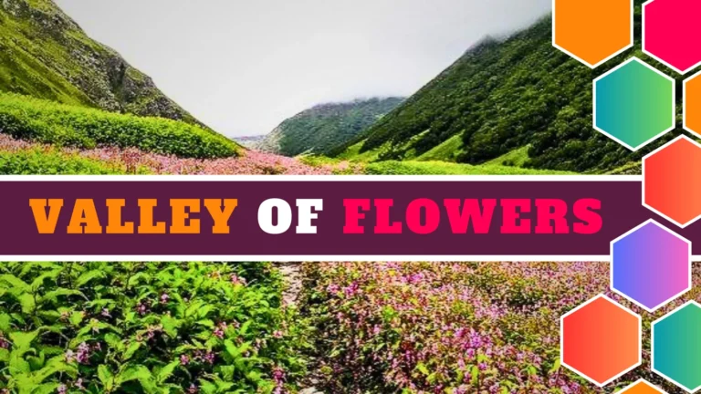 Valley of Flowers: Paradise in Uttarakhand