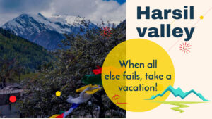 complete guide of Harsil Valley