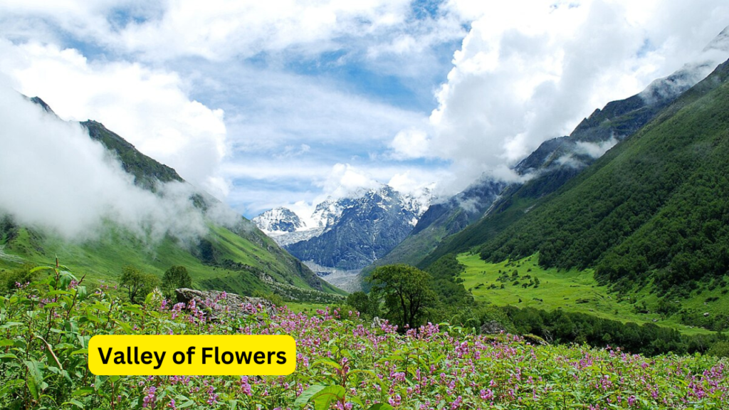 Valley of Flowers