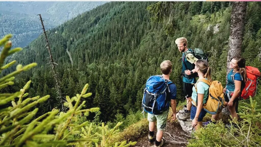 Top 10 hiking trails in Kedarnath for adventure lovers – explore wild forests and thrilling trekking routes.