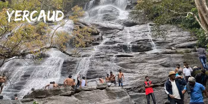 Dense tropical forest in Yercaud with lush greenery and serene valleys.